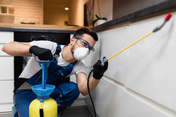 Best Pest Control for Homes  in Sauk Centre, MN