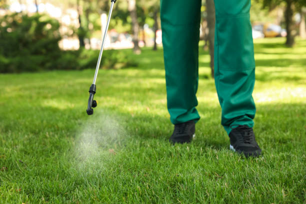Best Insect Control  in Sauk Centre, MN