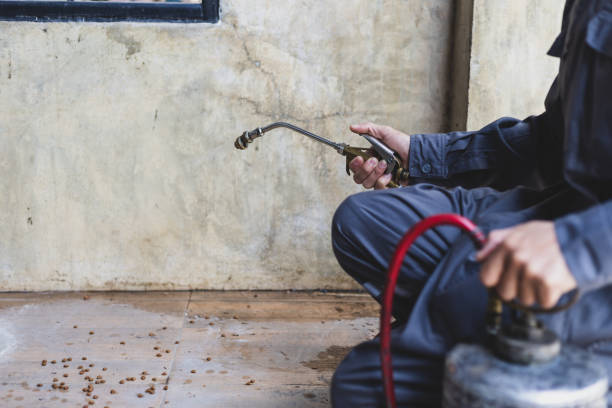 Best Residential Pest Control  in Sauk Centre, MN